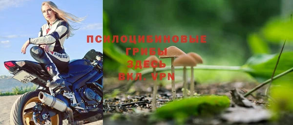 2c-b Осинники