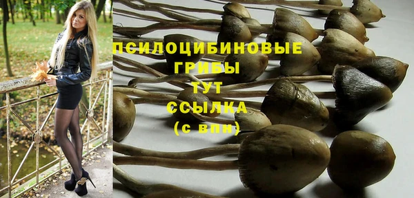 бошки Алексин