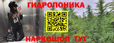 мяу мяу мука Кулебаки