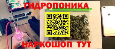 мяу мяу мука Кулебаки