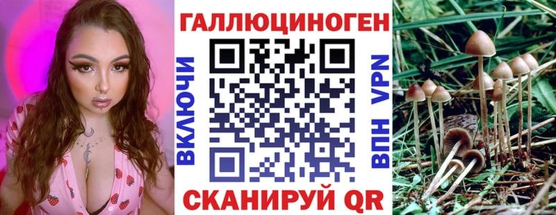 Галлюциногенные грибы прущие грибы  Ухта 