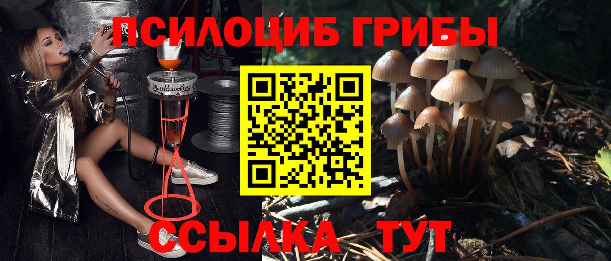 Псилоцибиновые грибы прущие грибы  Вход с VPN  Ухта  Псилоцибиновые грибы MAGIC MUSHROOMS 